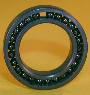 Full complement ceramic miniature bearing 15MM x 24MM