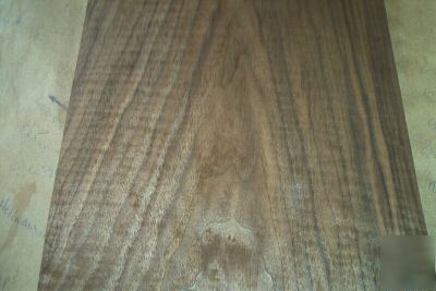 Walnut veneer ''awesome'' 20 @ 12'' x 26'' [1595]